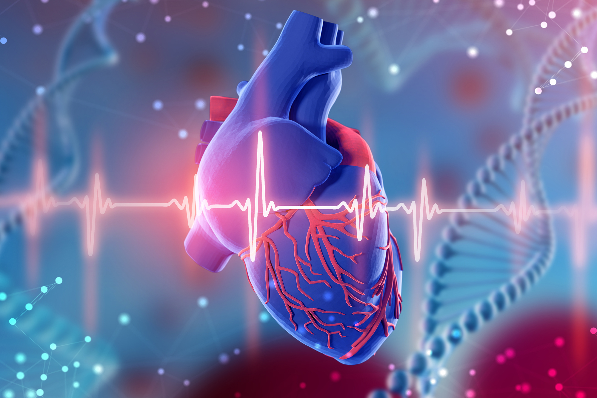 FDA выдало разрешение на ПО с искусственным интеллектом для цифрового двойника сердца