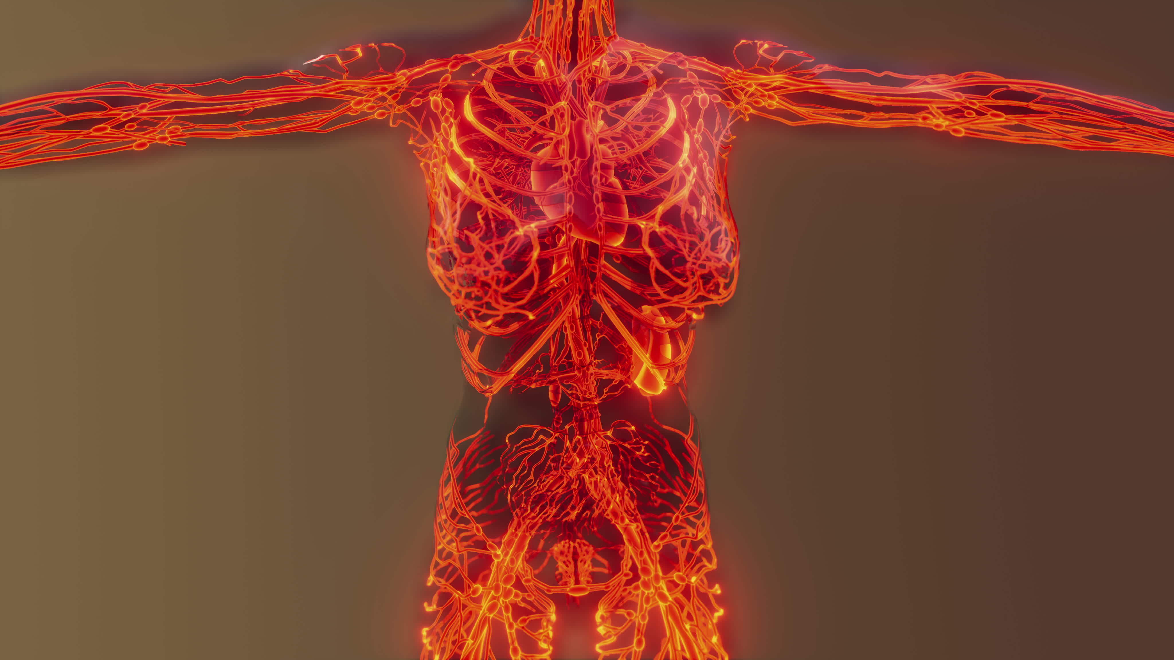 New Scanner Creates Highly Detailed, 3D Images of Blood Vessels in Just Seconds