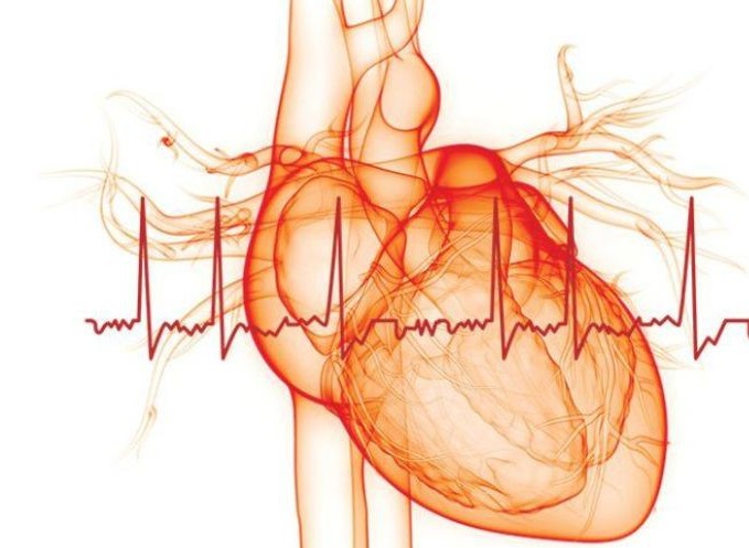 First Major Guidelines Issued for Left Atrial Appendage Occlusion Devices